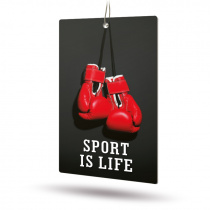 Ароматизатор AVS APS-019 Sport is Life (аром. Brutal/Брутал) (бумажные)